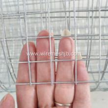 3/4'' Galvanized Welded Wire Mesh